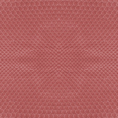 Obraz premium snake skin painted red