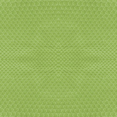 snake skin painted green