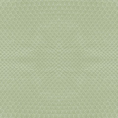 snake skin painted green