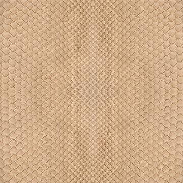 beige snake skin texture