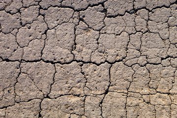 Cracked dry ground