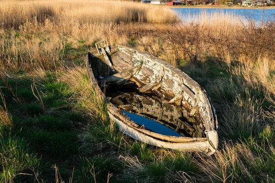 Old boat and reed