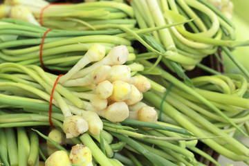 Fresh ginger root in the market