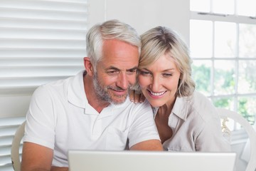 Mature couple using laptop at home