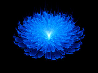 Blue space flower background