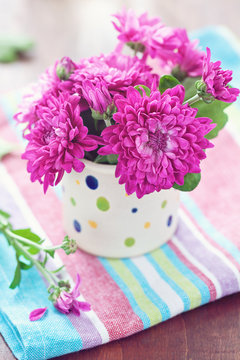 Fototapeta fresh purple chrysanthemum flowers in a flowerpot on the table