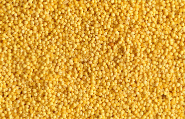 음식 백그라운드