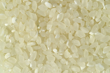 음식 백그라운드