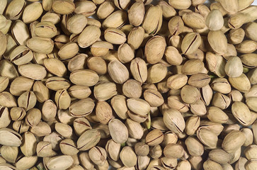 음식 백그라운드