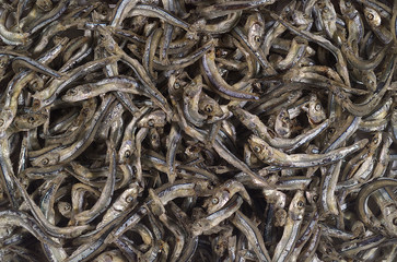 음식 백그라운드