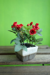 Artificial red roses on wood table with green background