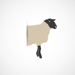 vecteur-mouton