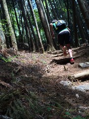 Caucasian Male Running on Forest Trail