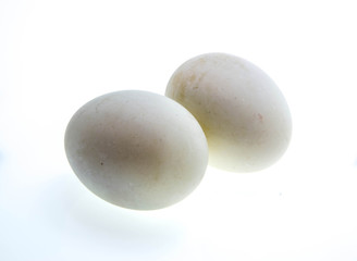 Duck eggs on white background