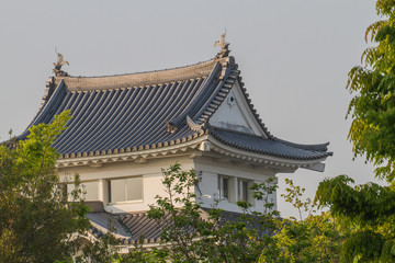 朝日に照らされる関宿城