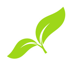 Green leaf icon