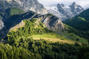 Almwiese im Bergmassiv
