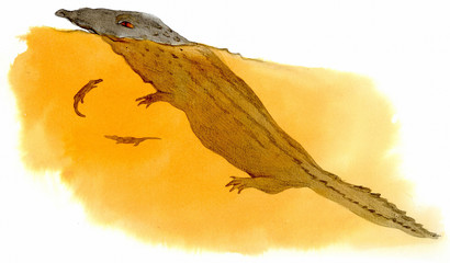 Obraz premium 감성 동화