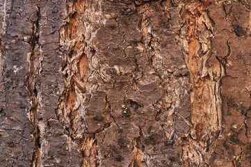 texture