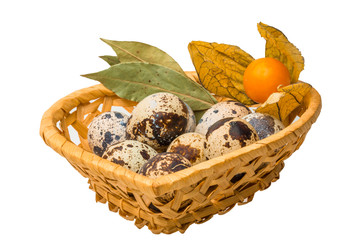 Quail eggs