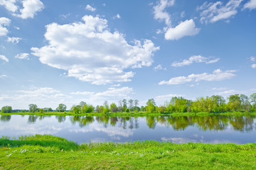 Sunny spring landscape by The Narew River.