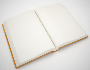 open book
