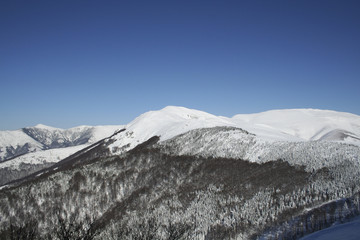 Mountain top in winter / Mountain peak under snow.