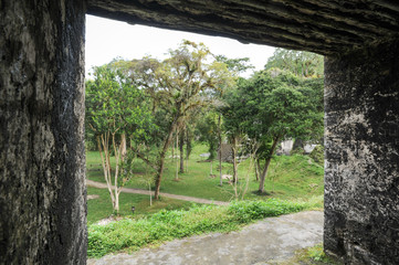 The Mayan ruins of Tikal