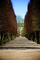 Parco del Castello di Rosenborg, Copenaghen