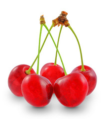 cherry