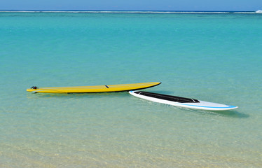 Two Paddleboards