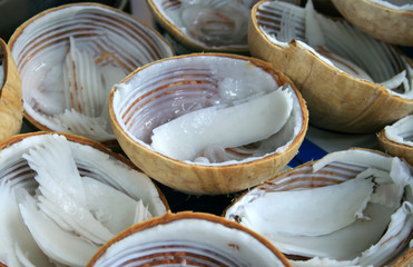 young coconuts