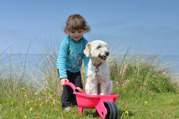 vacances avec le chien