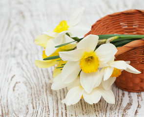 Obraz na płótnie Canvas daffodils