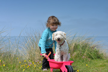 vacances avec le chien