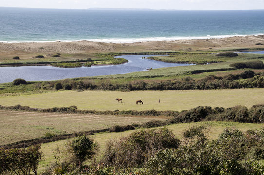 Ile D'aurigny Olivier Rault photos, images, assets | Adobe Stock