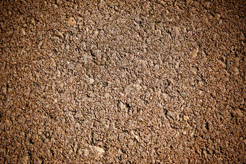 texture of paving stone