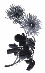 Obraz premium 사군자 수묵화