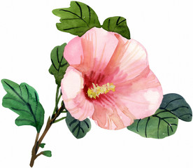 꽃 수채화