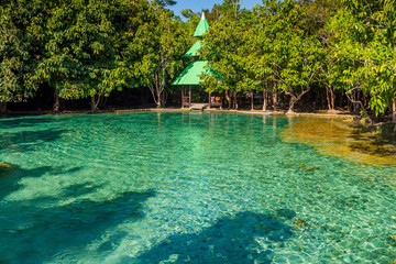 Emerald Pool is unseen pool in mangrove forest