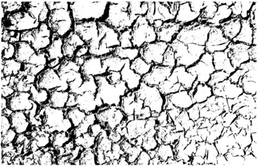 vector cracked land texture