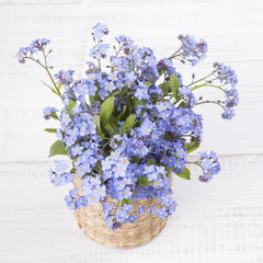 small blue flowers on  white wooden background