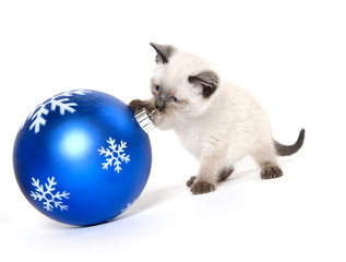Cute kitten and ornament