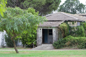 old house srounded with green