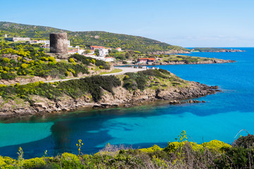 Asinara island in Sardinia, Italy