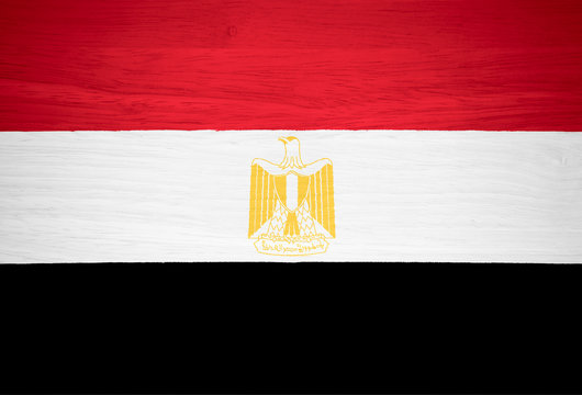 Egypt flag on wood texture