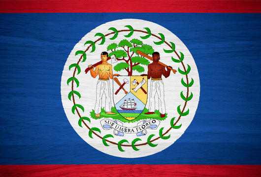 Belize flag on wood texture