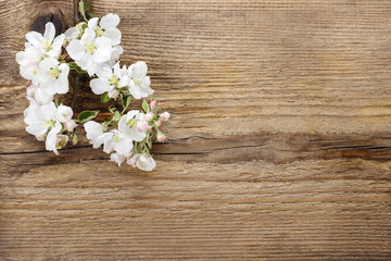 Flowering twig of apple tree on wooden background. Copy space