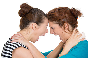 Portrait Yelling women head to head on white background 