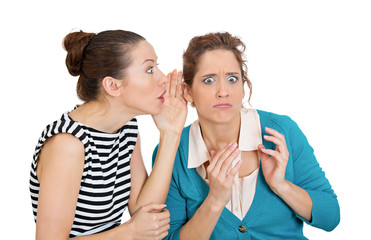 Bad rumors. Portrait of two young women gossiping